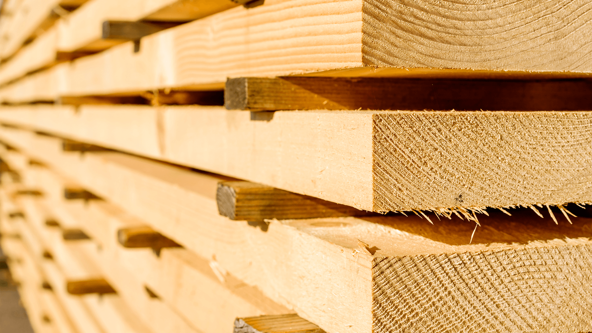 What Is Construction Timber?
